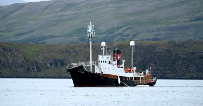 Islanda vrea să interzică vânătoarea de balene; doar Norvegia și Japonia ar continua