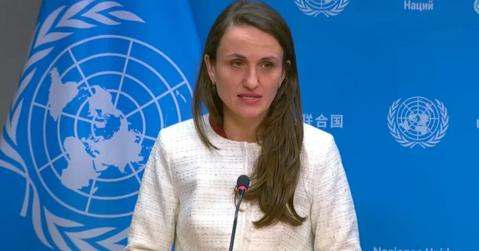 Oana Țoiu: Susținem un armistițiu pentru protejarea infrastructurii din Marea Neagră