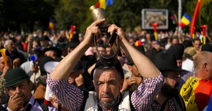 Parlamentul European: exporturile de animale, deblocate în cel mult o lună