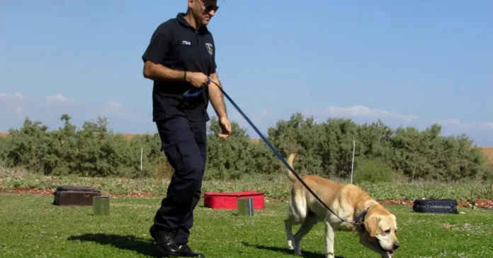 Țară folosește ADN canin în anchete penale pentru a identifica suspecți