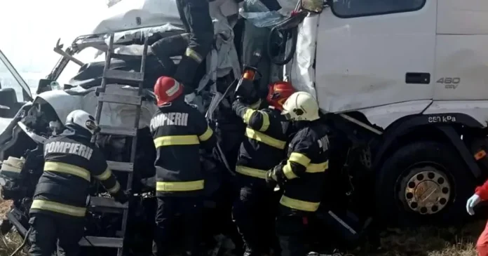 Tragedie în România: două britanice și opt câini au murit într-o misiune de salvare