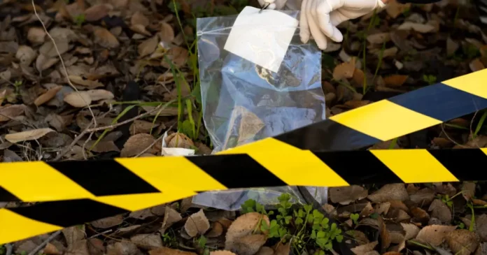 Un apel al mamei a dezvăluit o crimă îngrozitoare: „Veniți, fiul meu a rănit o persoană”