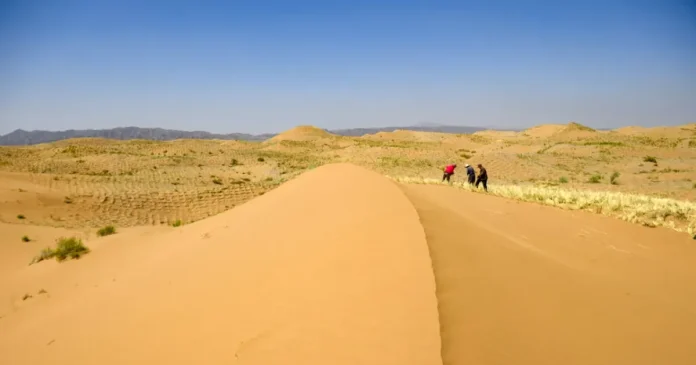 Fenomen unic: Cel mai arid deșert al Pământului, acum acoperit de flori sălbatice