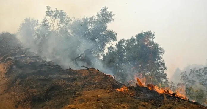 Incendiile de pe coasta Californiei, amplificate de vânturi de 110 km/h