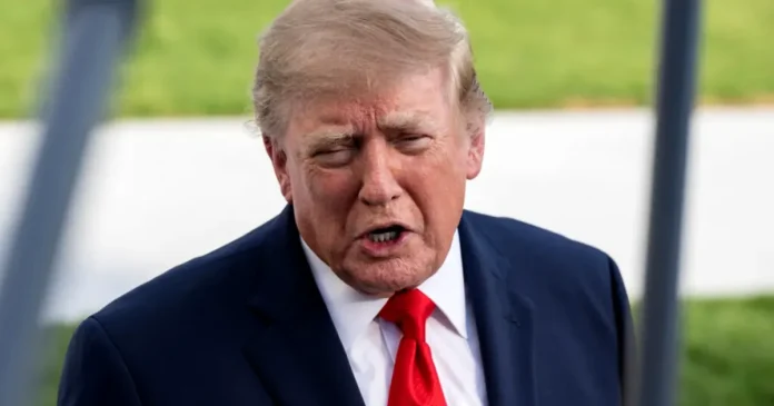 Judecătoarea îl blochează pe Trump după tăierea a 400 de copaci; acesta o numește „nebună”