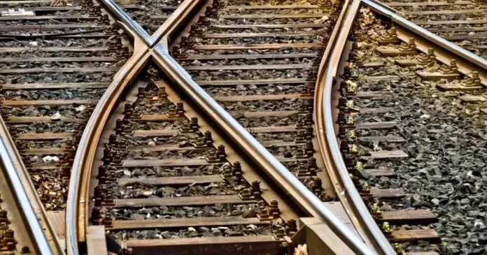 Tren deraiat în Japonia după ce a lovit un urs. 34 de pasageri, blocați peste noapte