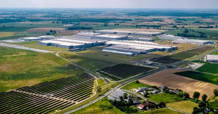 Volkswagen a angajat 100 de oi care pasc sub 31.000 de panouri solare